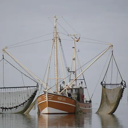 Ferienhaus Reethuus Nord Modern Retreat *