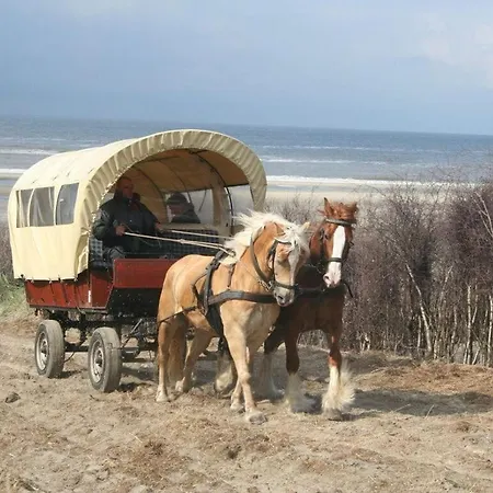 Ferienhaus Reethuus Nord Modern Retreat