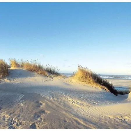 Ferienhaus Reethuus Nord Modern Retreat *