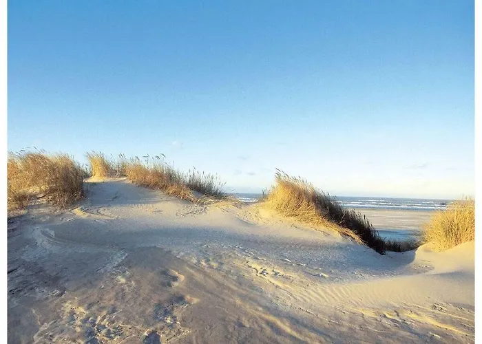 別荘 Reethuus Nord Modern Retreat *